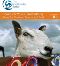 DVD 4 - Sheep for Business, Enterprise & Profit