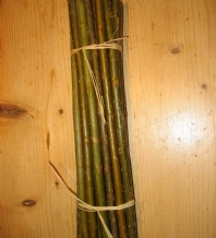 Willow: 20 X 10inch Hybrid Willow Cuttings