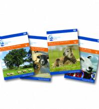 DVD - Full set of 5 DVDs + free Flock Planner