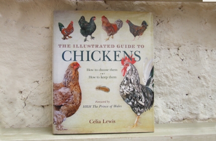 Book  illustrated Guide to Chickens
