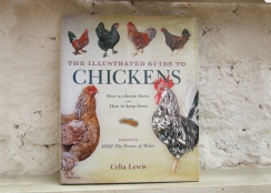 Book  illustrated Guide to Chickens