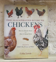 Book � illustrated Guide to Chickens